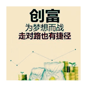 〖创富工程〗《创富信息内刊大全》